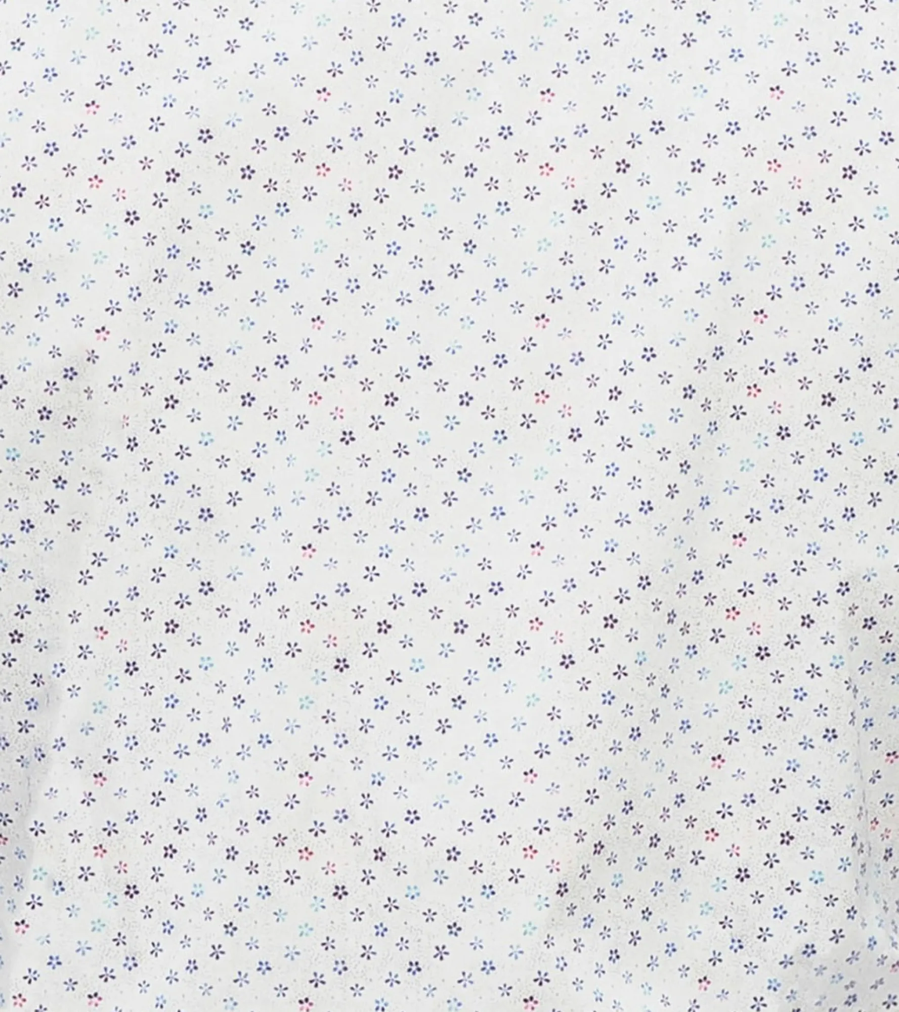 Stacy Adams Doyle Dress Shirt Spread Collar
