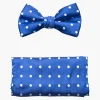 Stacy Adams Giroux Bow Tie & Hanky Set