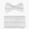 Stacy Adams Mason Bow Tie & Pocket Square Set